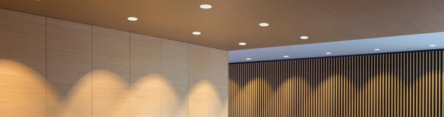 Best Ceiling Light Brand in Pakistan: Top Brands, Types, and Buying Guide