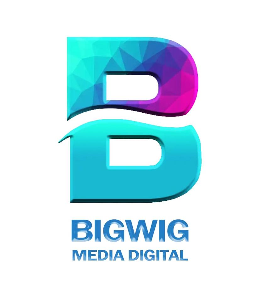 How Social Media Optimization Helps Businesses Grow in Delhi