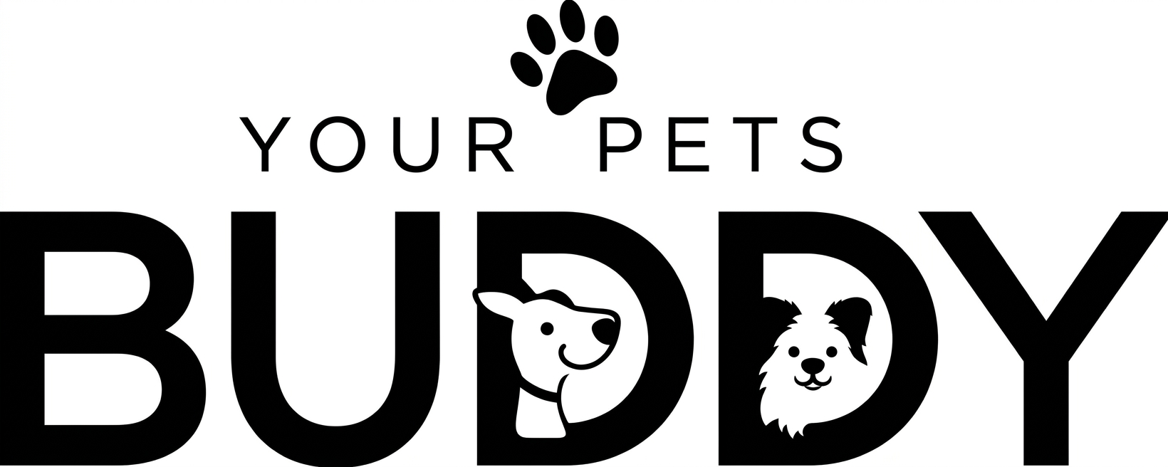 Lovebirds as Pets: A Complete Guide for Beginners